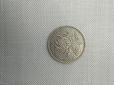 40目不銹鋼篩網(wǎng)