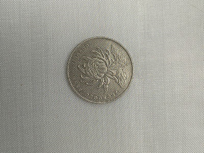 80目不銹鋼篩網(wǎng)